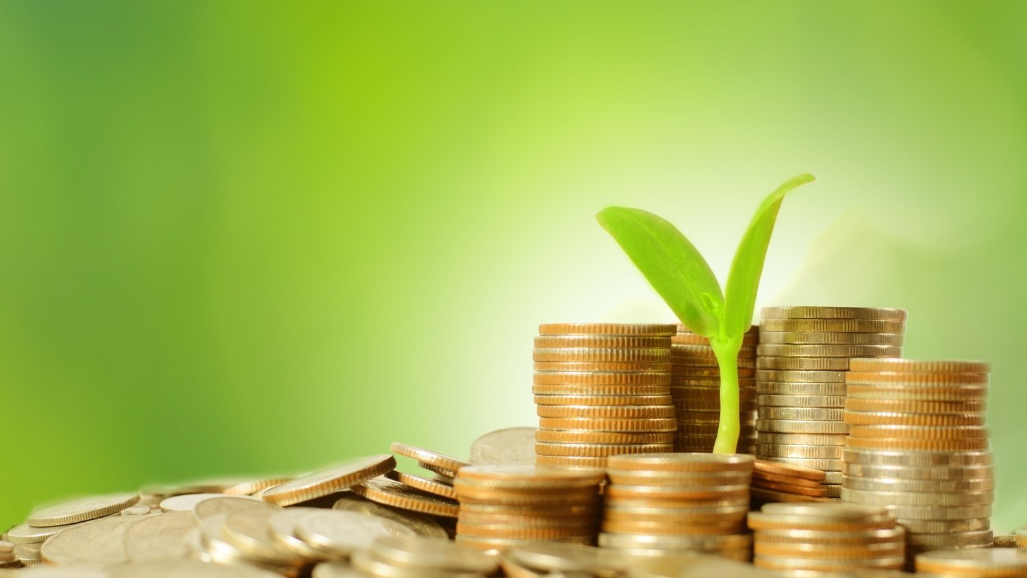 业绩下滑引发CAVA(CAVA.US)股价重挫!华尔街争论:“抄底机会” versus “惩罚性区间”?