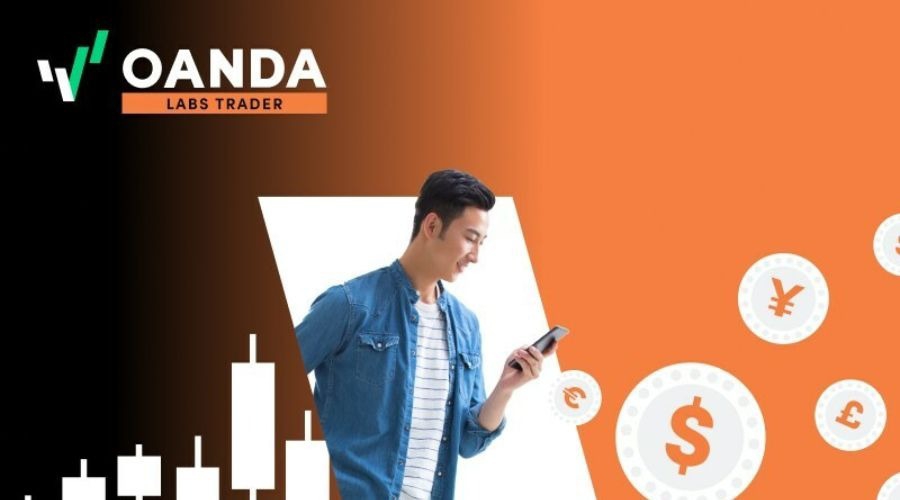 惠州红花湖景区东入口栈桥开放！最新交通安排→